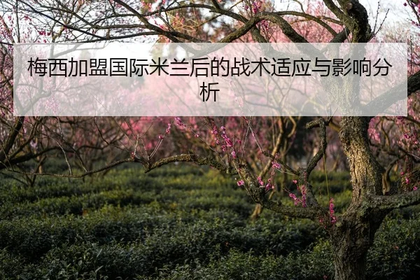 梅西加盟国际米兰后的战术适应与影响分析