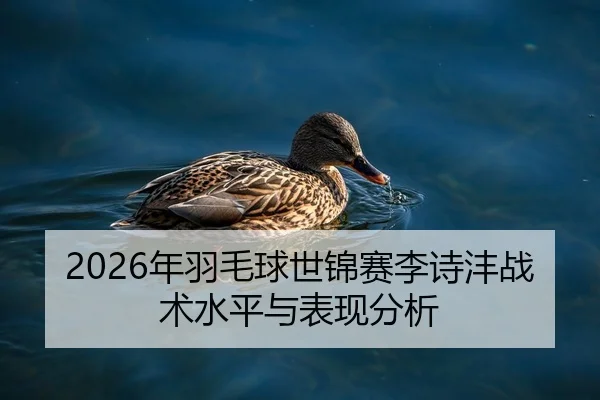 2026年羽毛球世锦赛李诗沣战术水平与表现分析